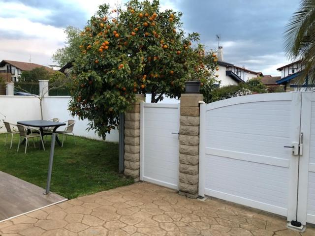 Les Hirondelles 2Km De La Plage-Jardin-Wifi-Parking-Draps Et Serviettes Hendaye Buitenkant foto