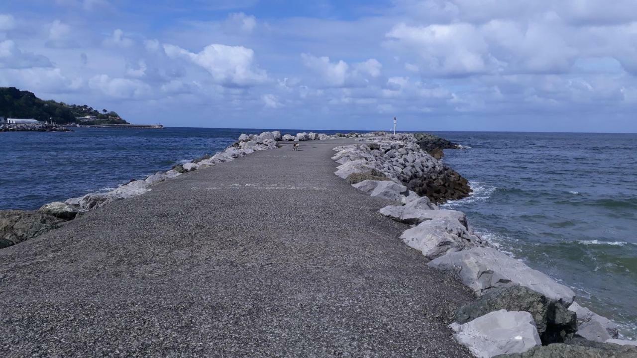 Les Hirondelles 2Km De La Plage-Jardin-Wifi-Parking-Draps Et Serviettes Hendaye Buitenkant foto